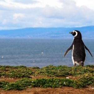 Meet your Posher, Lian